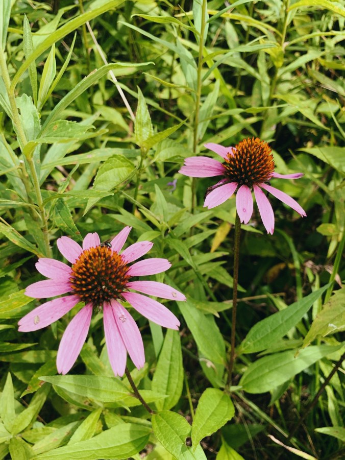 Processed with VSCO with ka1 preset